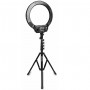 Afi Conqueror Ring Light 16'' with Tripod for Mobile Cell Phone