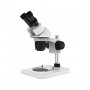 Conqueror Microscope With 2 Binocular 20X / 40X