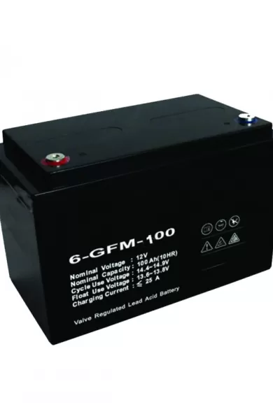Battery Lead Acid 12V 100Ah Rechargeable