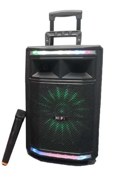 Portable Speaker Karaoke 12"