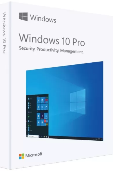 Microsoft Windows 10 Professional