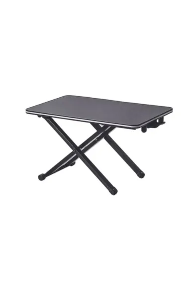 Stand Desk Mount for Laptop