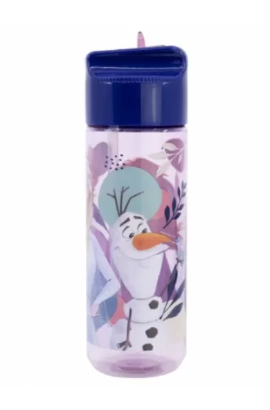 Disney Large Ecozen Hydro Bottle 540ml - Frozen Trust The Journey